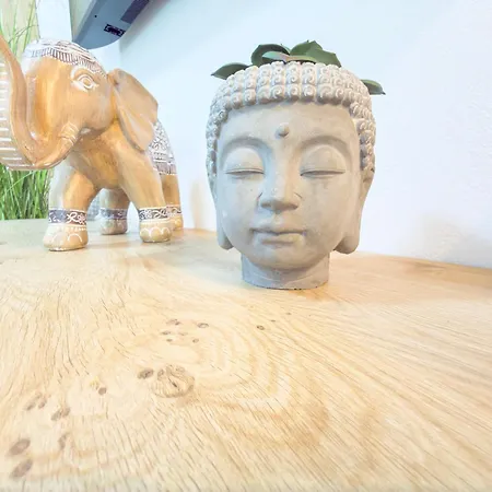 Tiara شقة دراس